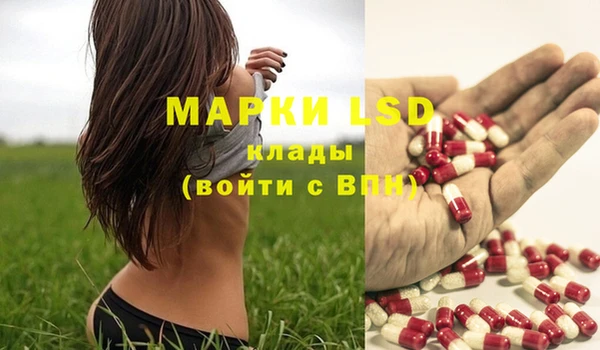 индика Абинск