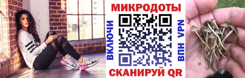 Галлюциногенные грибы мухоморы  ОМГ ОМГ как зайти  Алагир 